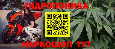 винт Новодвинск