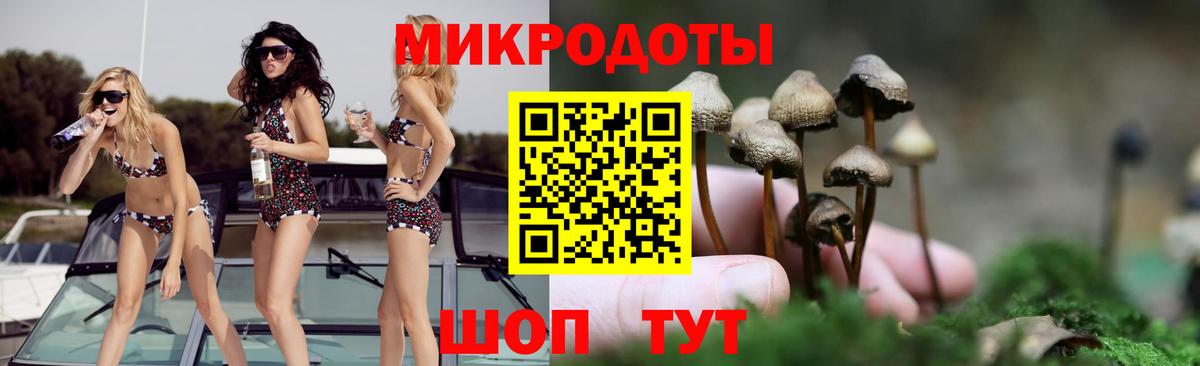 Торжок  Галлюциногенные грибы Psilocybine cubensis  Псилоцибиновые грибы Psilocybine cubensis  купить наркотики сайты  Вход с VPN 